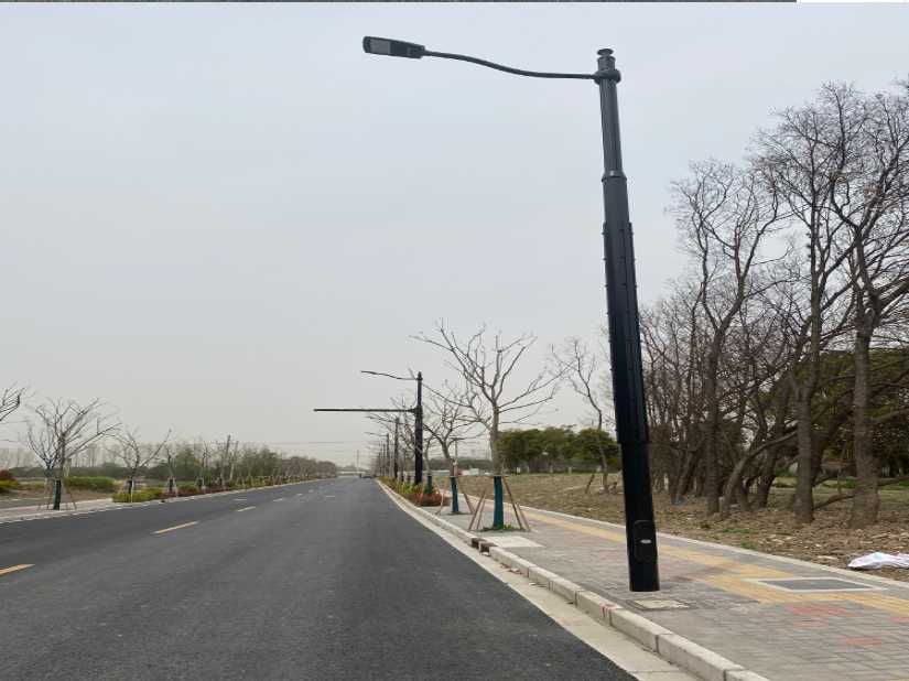 高唐县上海综合杆 太阳能路灯工程
